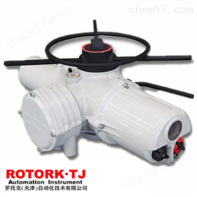 BIQ10罗托克执行器